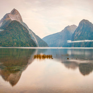 Milford Sound